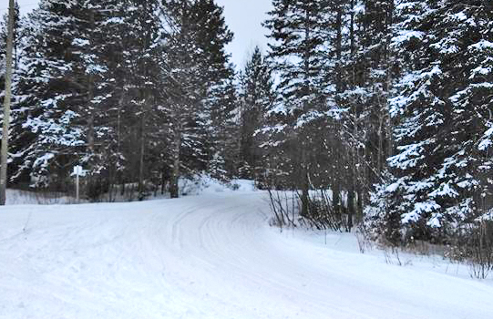 TASA Trails | About TASA | Tahquamenon Area Snowmobile Association | Newberry MI Snowmobiling